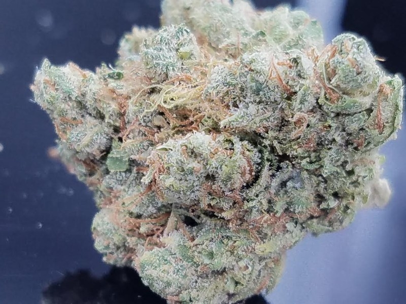 bubba-kush_1566174338MmSsm8.jpeg