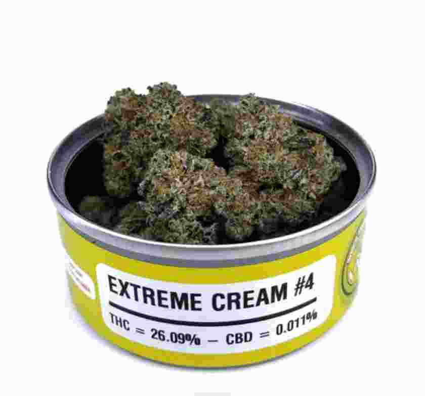 extreme-cr_1566176716WxLcgU.jpeg